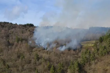 Deux incendies et trois hectares de broussailles partis en fumée en Corrèze