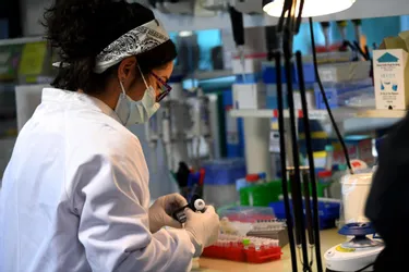 "La thérapie génique n’est plus de la science-fiction" : à Évry, des avancées décisives dans les laboratoires du Téléthon