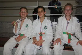 Des médailles pour les judokas vicomtois