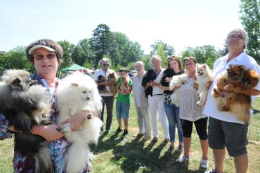 600 chiens à l'exposition canine d'Aurillac