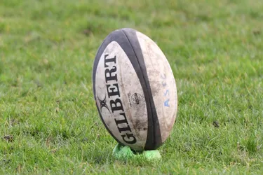 Rugby : les calendriers de Top 14 et de Pro D2 annoncés jeudi