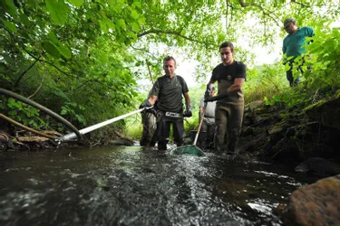 Les salariés de la Fédération de pêche du Cantal étudient les cours d’eau et les protègent