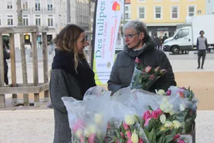 Des tulipes contre le cancer : Carte des "Relais Tulipes" du Puy-de-Dôme
