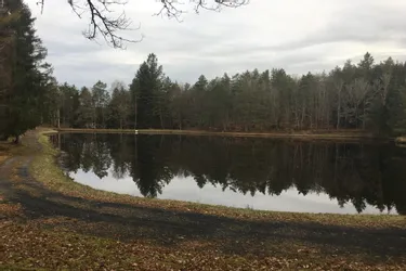 Les étangs du Bos Redon désormais gérés par la commune