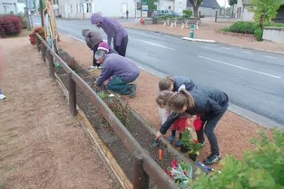 Les enfants ont planté les fleurs