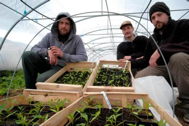 Le Jardin des compères veut réunir quatre producteurs bio pour fournir les collectivités