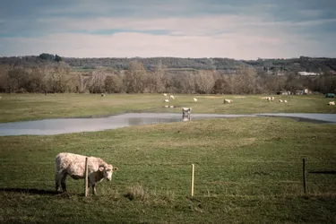 Les agriculteurs inquiets de la nouvelle cartographie sur les zones humides du bassin Cher amont (Allier)