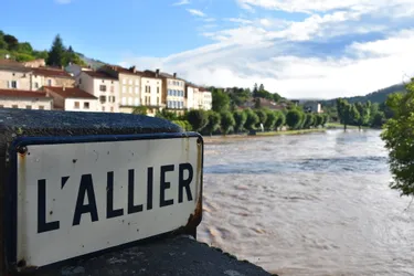 La crue de l'Allier en images de Langeac à Auzon (Haute-Loire)