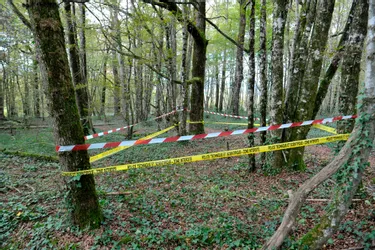 Didier Creuzevault condamné à 20 ans de réclusion pour tentative d'assassinat aux assises de la Corrèze
