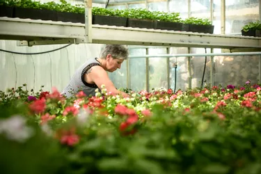 Cinq conseils d'horticulteurs bourbonnais pour réussir son jardinage