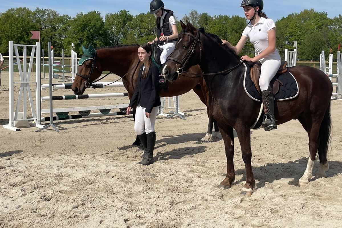 Le 13e Circuit Royal Marocain de Saut d'Obstacles: Un événement équestre de prestige - Actu