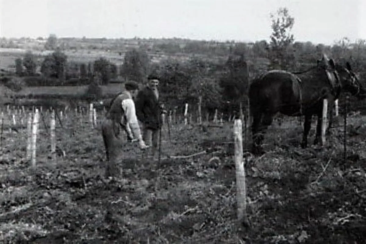 Livre : Une Commune Rurale D'Auvergne (GACHON) - Réédition 1981 - Relié - Bon état