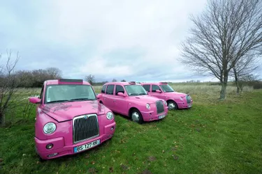 Trois taxis roses londoniens comme égarés en Creuse