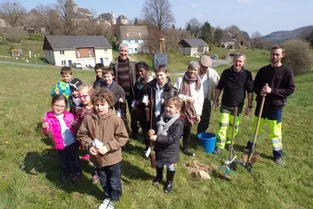 L’AFOXA et les écoliers plantent des arbres