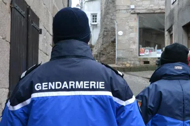 Corrèze : un gendarme blessé par une vache à Saint-Rémy