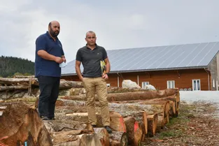 Saint-Angel Forest : de l'exploitation à la valorisation du bois (Corrèze)