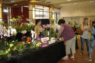 La salle polyvalente accueille une exposition de ces fleurs si particulières, jusqu’à aujourd’hui