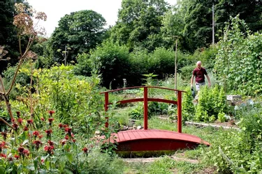 La permaculture pour cultiver son jardin