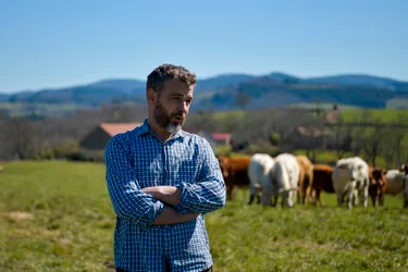 Avec le pâturage tournant dynamique, un éleveur bourbonnais parmi les maîtres de l'herbe en France