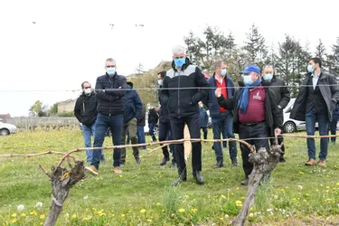 Dans l'Allier, Laurent Wauquiez au chevet du vignoble saint-pourcinois ravagé par les gelées