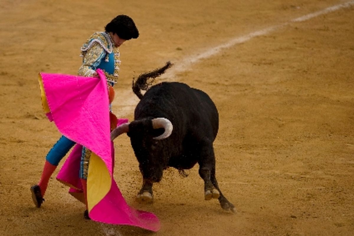 La Tauromachie Un Art Du Vivant La Montagne la-tauromachie-un-art-du-vivant-la-montagne