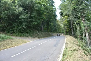 Une chute d'arbre provoque un accident de moto à Enval (Puy-de-Dôme) : un homme blessé