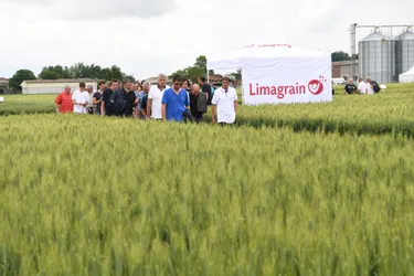 Limagrain annonce une prime exceptionnelle de 150 € pour certains de ses salariés