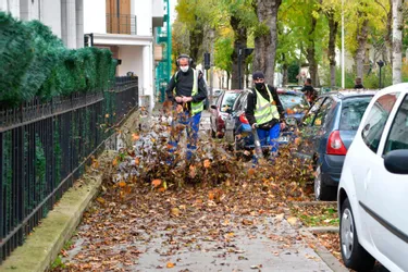 Feuilles mortes : avec 10.000 arbres dans toute la ville, les agents municipaux de Vichy ont du boulot en automne !
