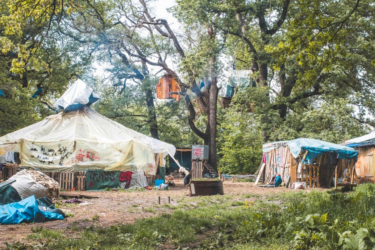 La nivernaise marion de la brière raconte son expérience sur la zad de l'a69 : 
