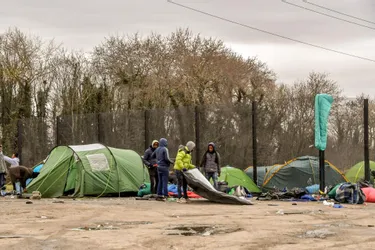 "Violences policières" envers les bénévoles à Calais: "accusations sans fondement", selon la maire