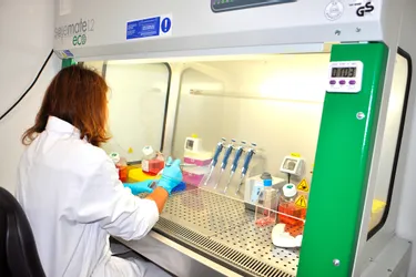 La start-up Carcidiag et le labo pharmaceutique Terali créent des emplois à Guéret