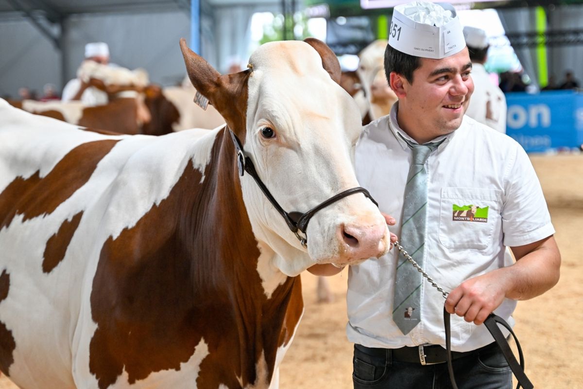 Un immense chapiteau va recouvrir la place du Breuil au Puy pour ce grand concours agricole de portée nationale