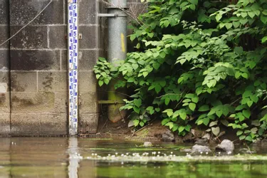 Puy-de-Dôme : le niveau des cours d'eau est en baisse