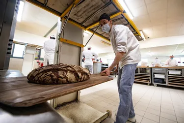 Brioche, tourte de seigle, pain nutrition : les artisans boulangers du Puy-de-Dôme ont démontré leur savoir-faire