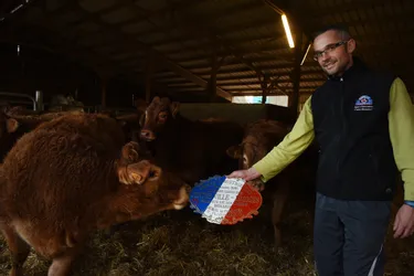 Avec sa vache la plus chère d’Europe et ses podiums, Jean-Jacques Bros a le vent en poupe