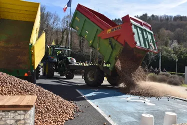 Les producteurs de noix déversent leur colère et leur production devant la MSA à Tulle