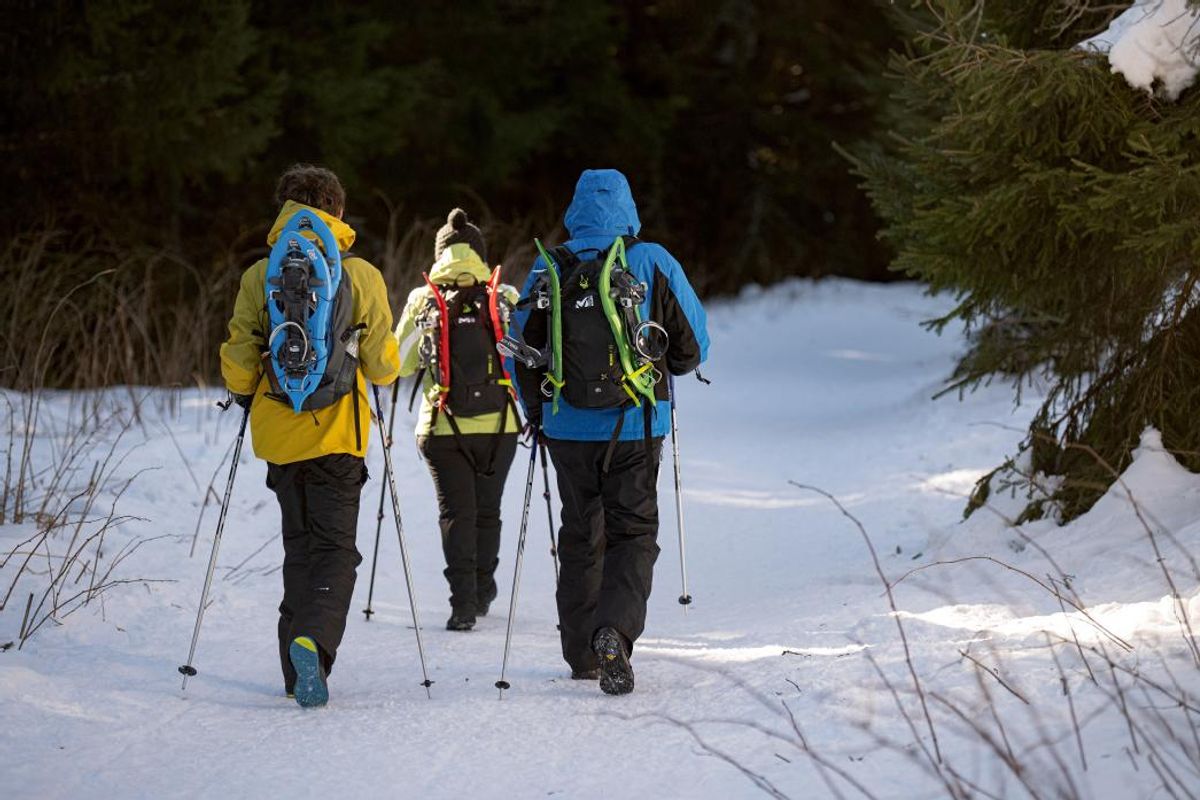 Un propriétaire refuse le droit de passage sur ses terres : la saison de ski de fond est suspendue à Chastreix-Sancy