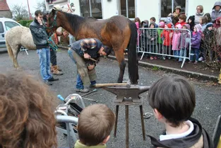 Le cheval a-t-il un avenir en Auvergne ?