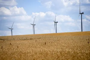 Pourquoi l'énergie éolienne n'a pas le vent en poupe en France
