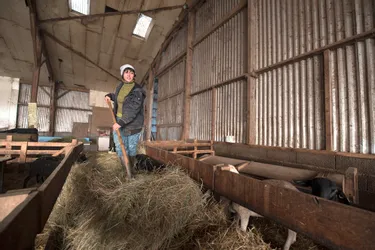 Haute-Loire : le difficile combat d'une agricultrice