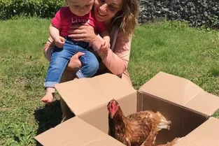 « Adopte une poule » connaît le succès