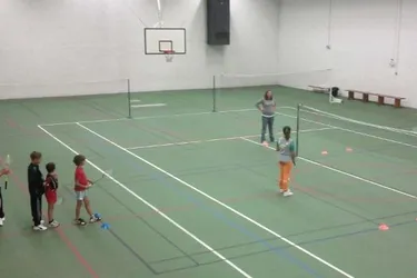 Reprise des entraînements pour le badminton