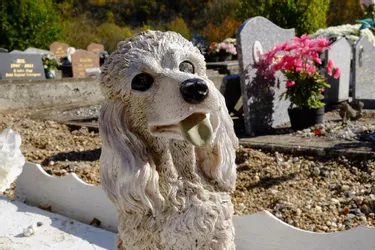 Cimetière animalier : 300 euros pour enterrer son petit chien