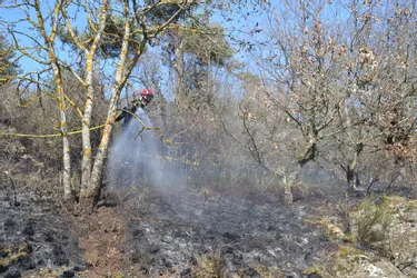 Un feu détruit 2.000 mètres carrés de végétation