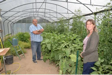 Entre insertion et production, neuf salariés font pousser les légumes de saison