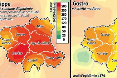 Les virus de la grippe continuent de se transmettre en Auvergne et Limousin