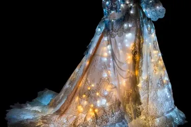 La robe de Cendrillon du CNCS sera la mascotte de la Nuit des musée 2015 !