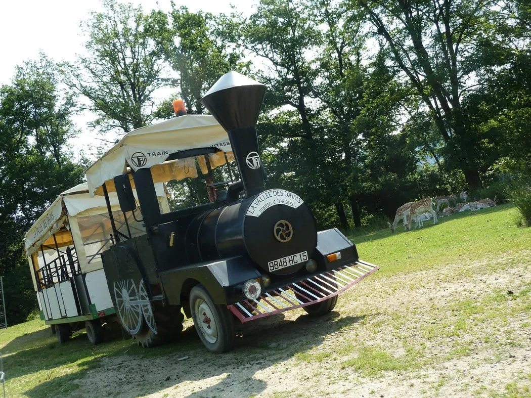 Nos cinq coups de cœur de ce mardi 16 juillet dans le Cantal - La Montagne