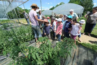 La Commission des agricultrices organise des visites des fermes pour les élèves du primaire