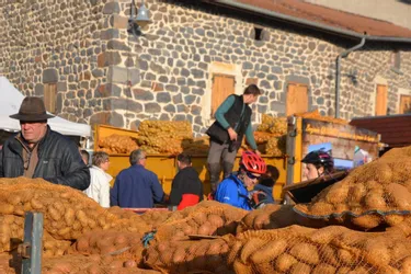 La dizaine de producteurs proposaient à la vente quelque 50 à 60 tonnes de pommes de terre
